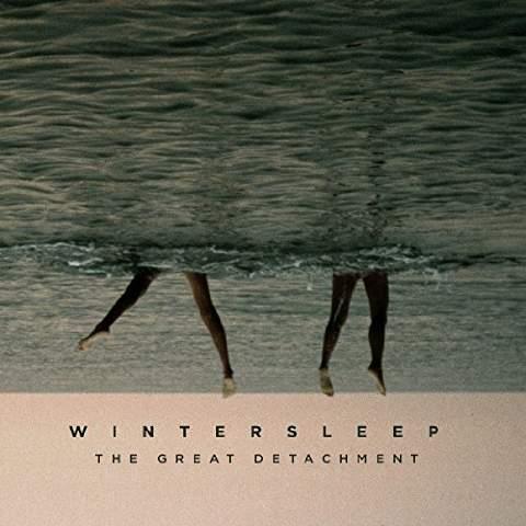 The great detachment - Front Cover