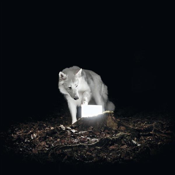 Surveillance - Front Cover