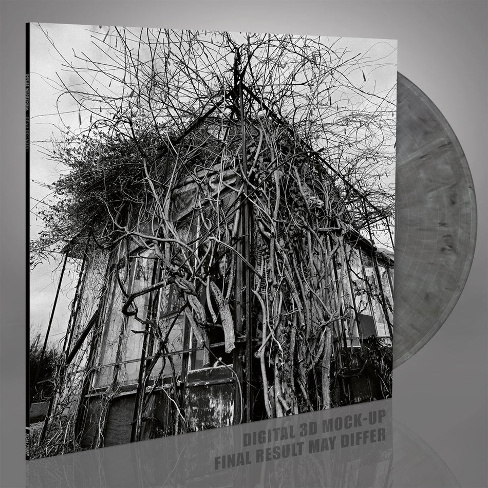 Dead Decades - Front Cover