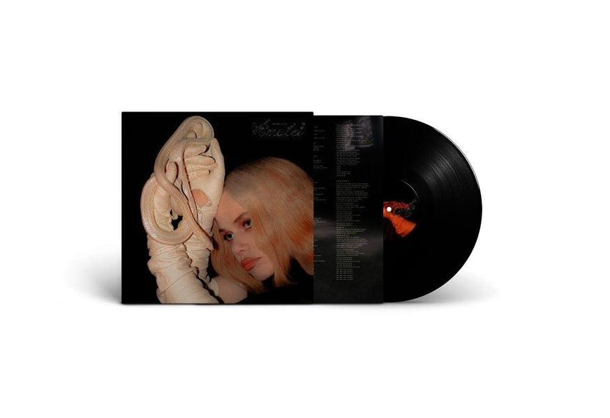 Amulet - Vinyle - Front Cover
