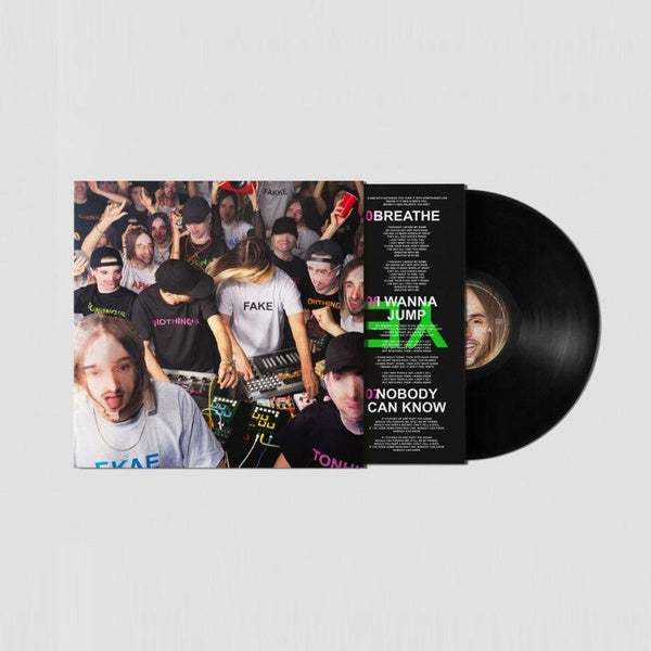 Nothing's Fake - Vinyle - Front Cover