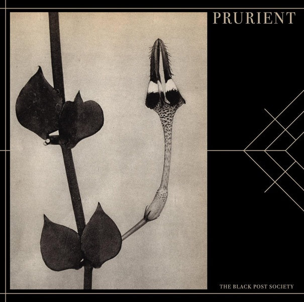 The Black Post Society - Front Cover