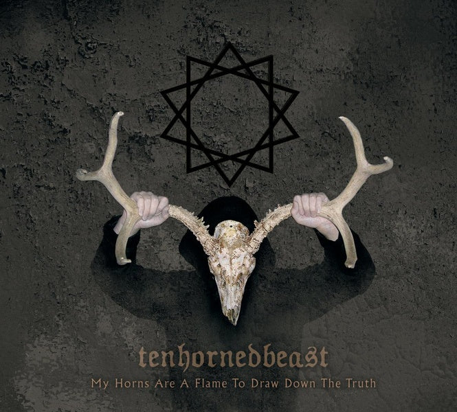 My Horns Are A Flame To Draw Down The Truth - Front Cover