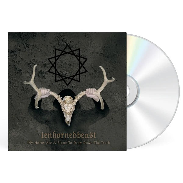 My Horns Are A Flame To Draw Down The Truth - Front Cover