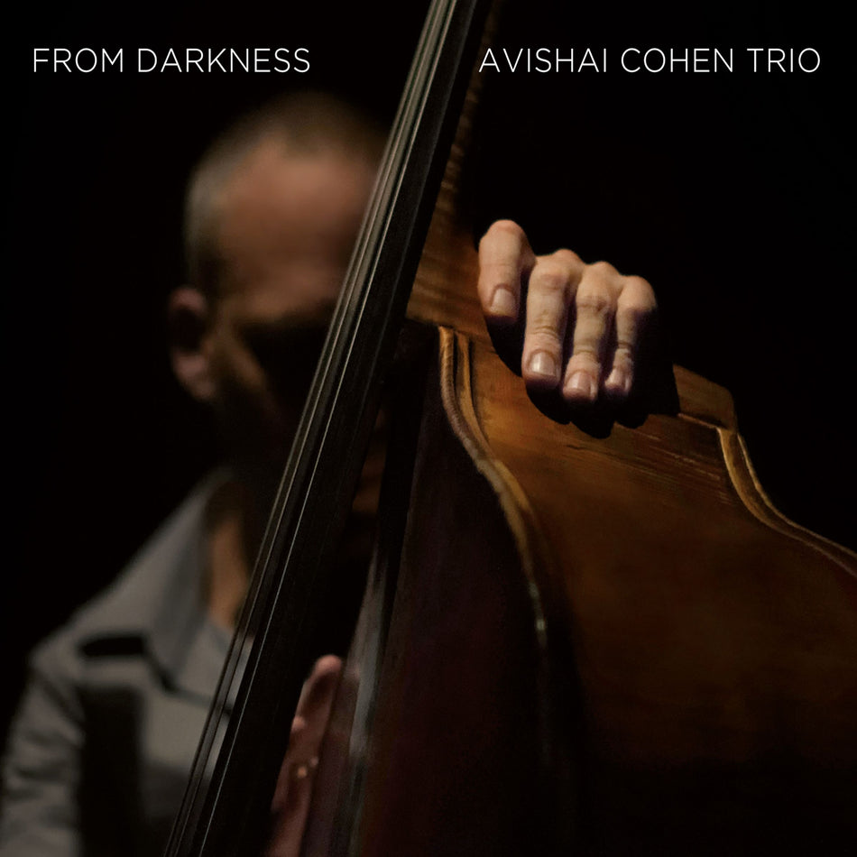 FROM DARKNESS - Front Cover