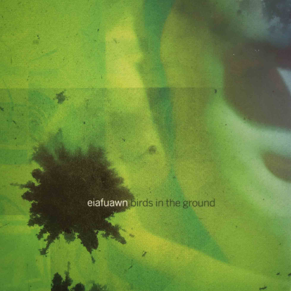 Birds In The Ground - Front Cover