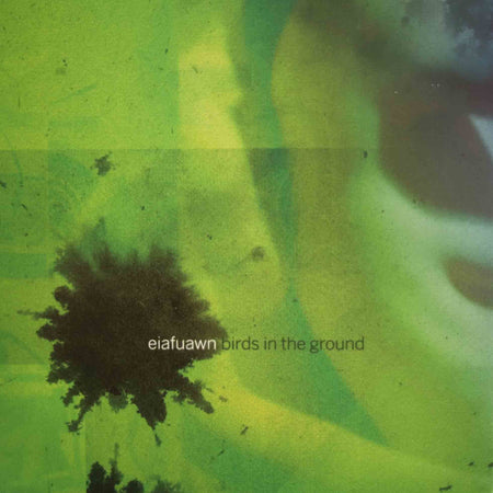 Birds In The Ground - Front Cover