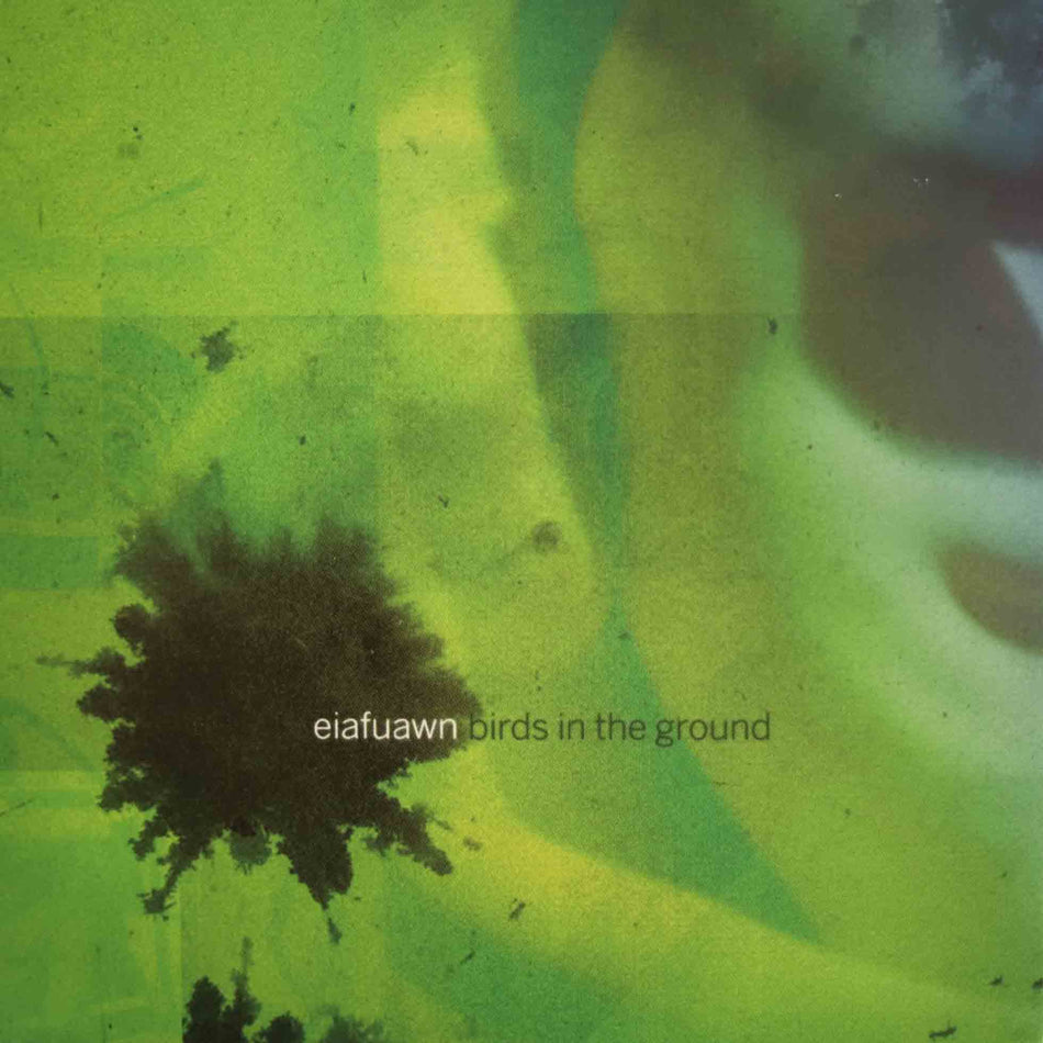 Birds In The Ground - Front Cover