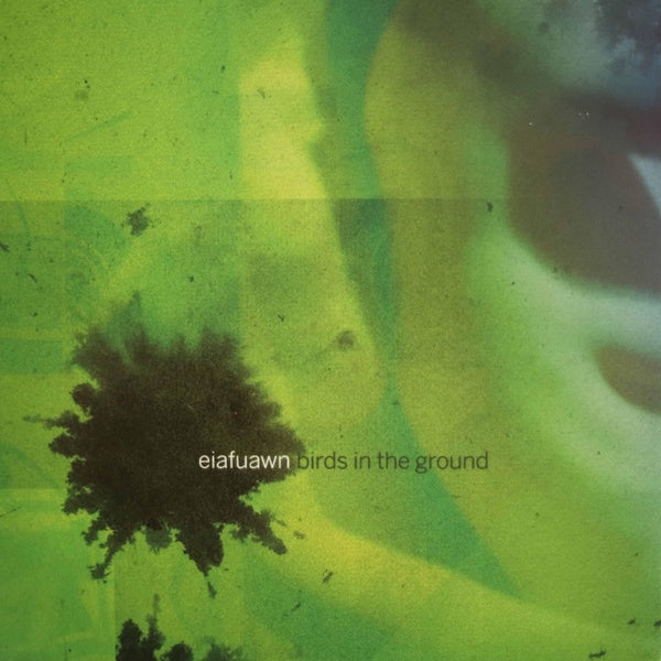 Birds In The Ground - Front Cover