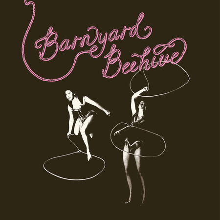 Barnyard Beehive - Front Cover
