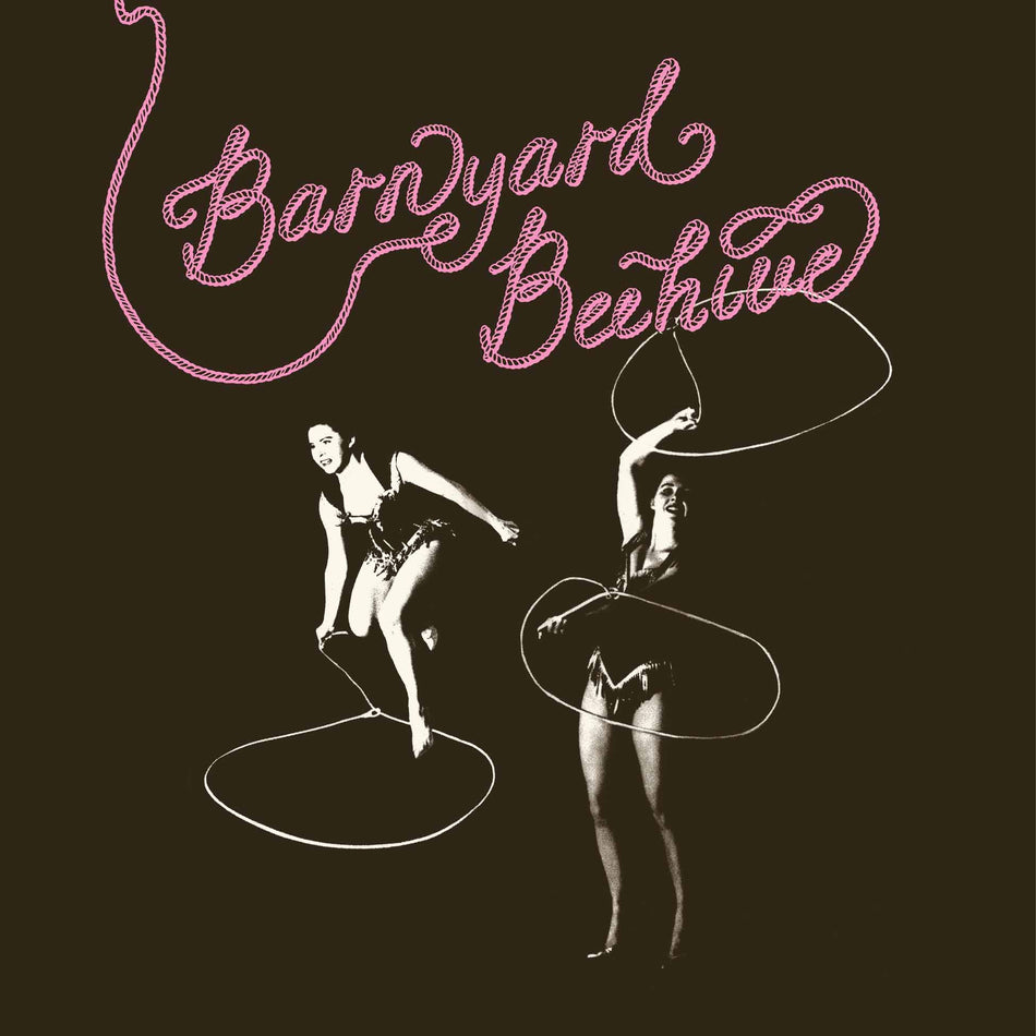 Barnyard Beehive - Front Cover