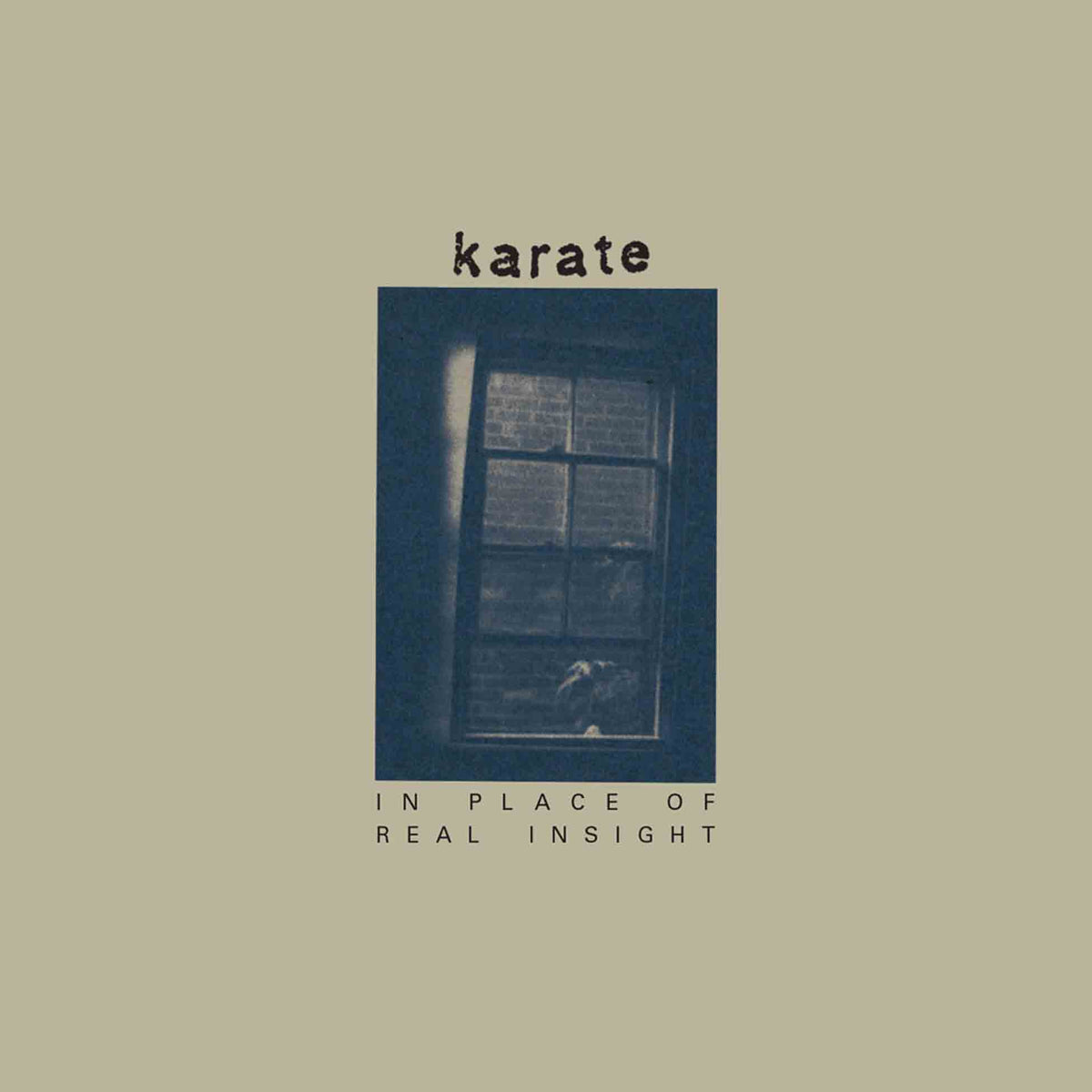 In Place Of Real Insight - Front Cover