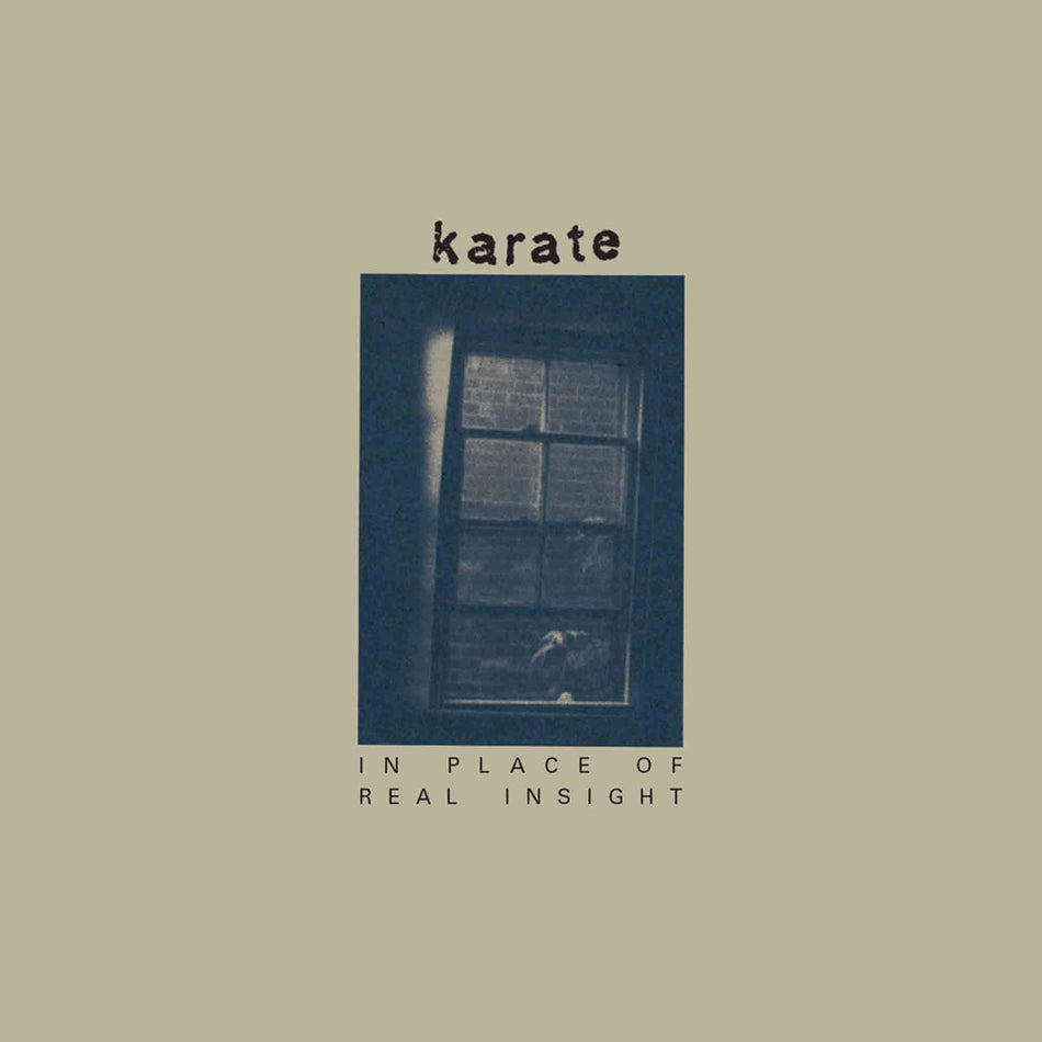 In Place Of Real Insight - Front Cover