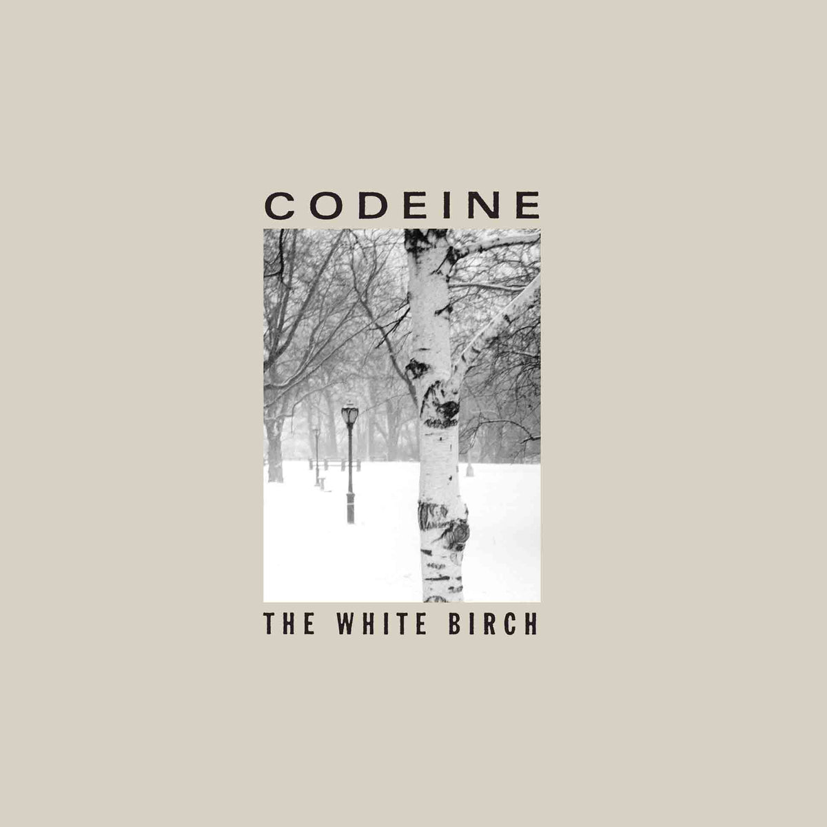 The White Birch - Front Cover
