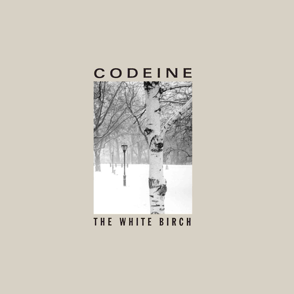 The White Birch - Front Cover