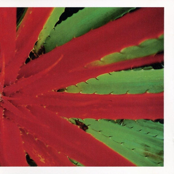 This Afternoons Malady - Front Cover