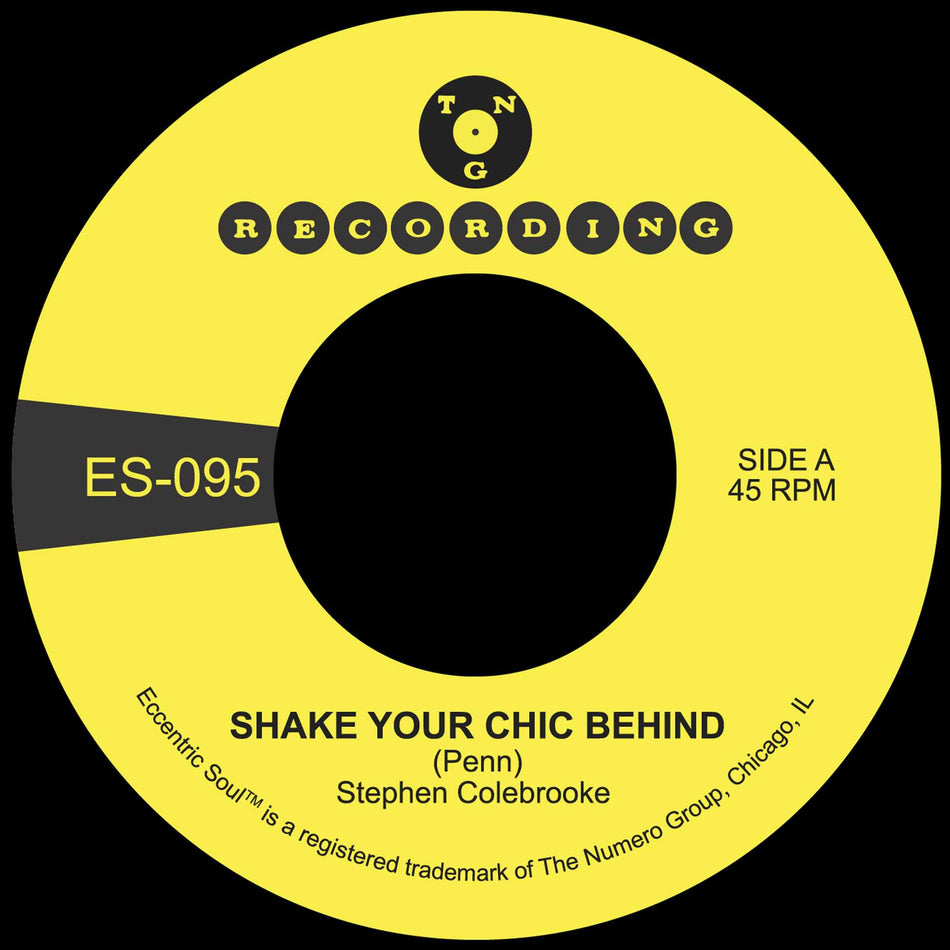 Shake Your Chic Behind + Stay Away From Music - Front Cover