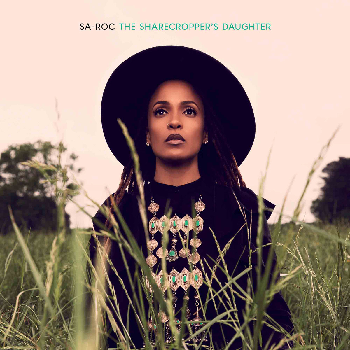 The Sharecropper'S Daughter - Front Cover