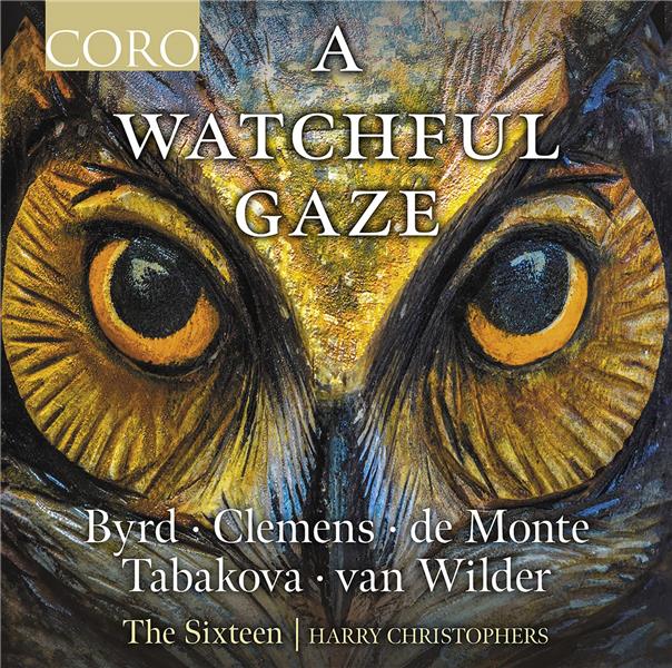 A Watchful Gaze - Front Cover