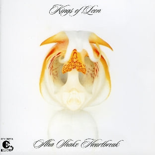 Aha shake heartbrake - Front Cover