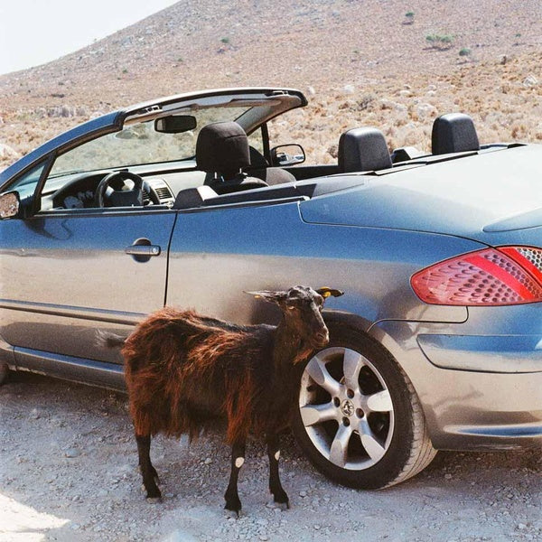 Prove The Mountains Move - Front Cover