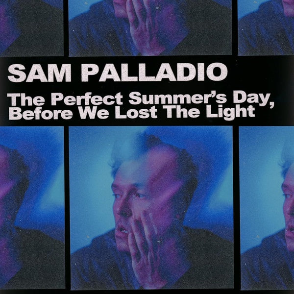 The Perfect Summer's Day Before We Lost The Light - Front Cover