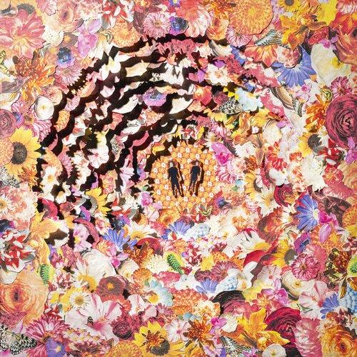 The Bimbonacci Sequence Vinyle Rose Néon - Front Cover