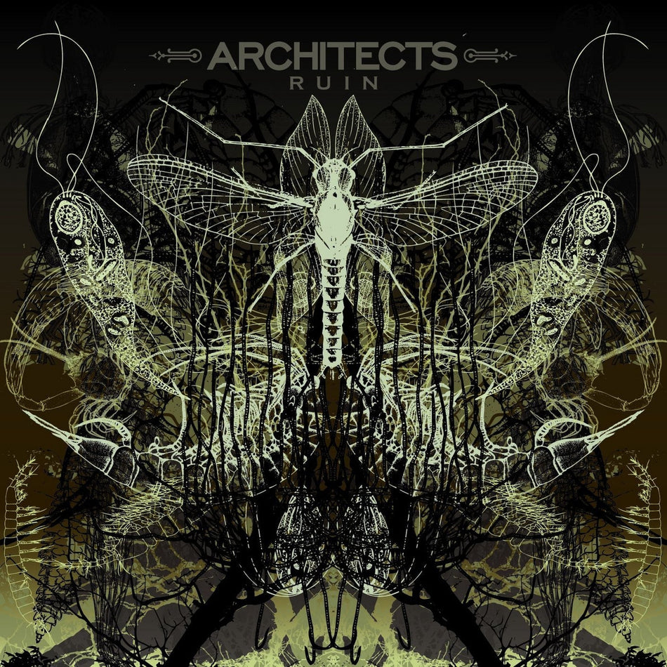 Ruin - Front Cover