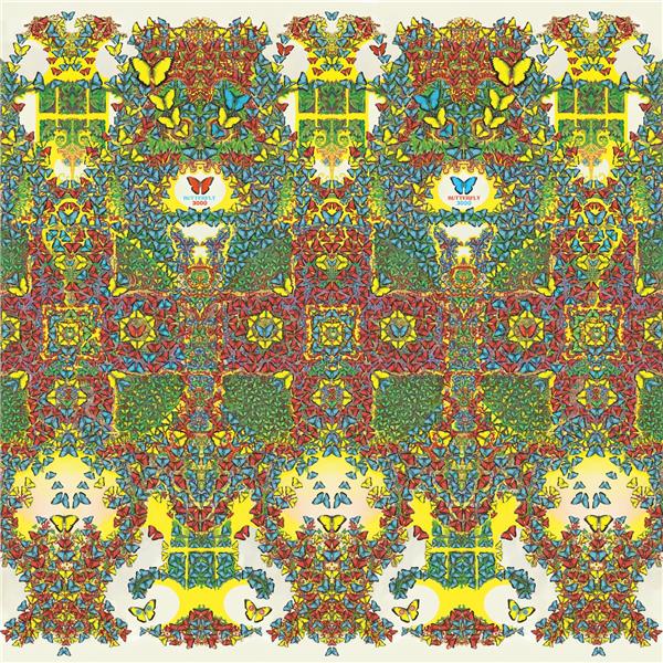 Butterfly 3000 - Front Cover