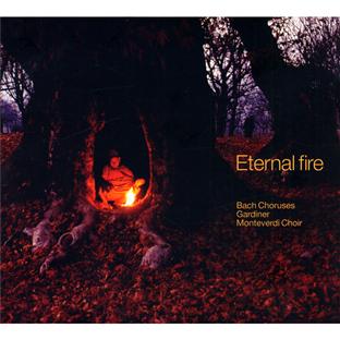 Eternal fire - Front Cover