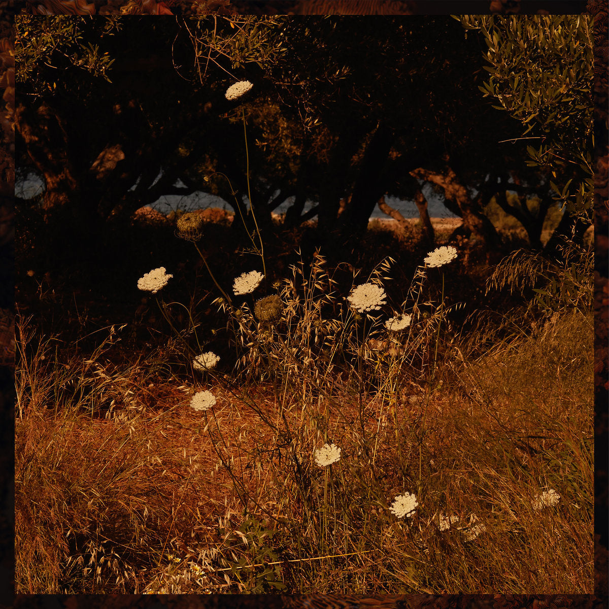 Earth Patterns - Front Cover