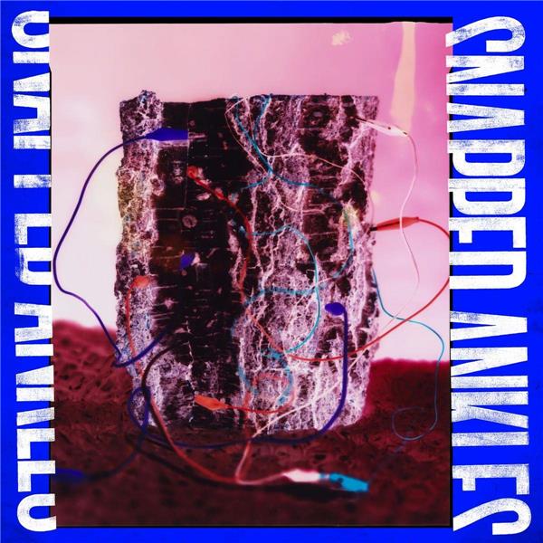Forest Of Your Problems - Front Cover