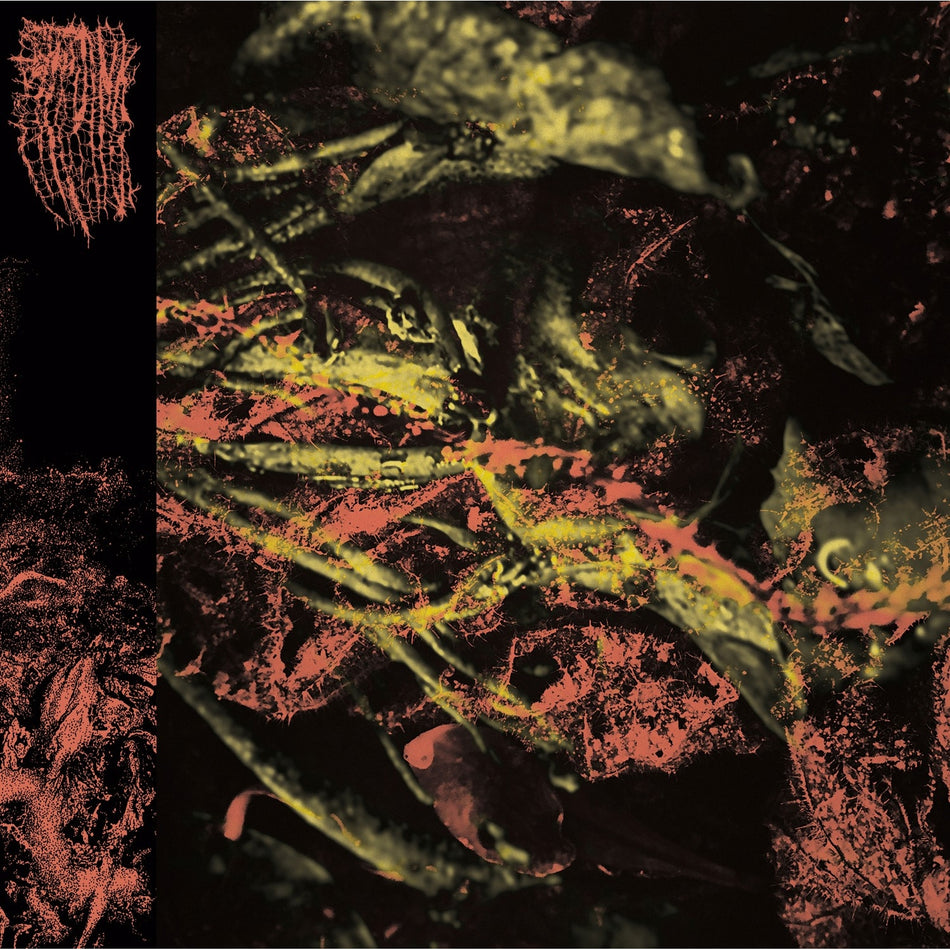 Permanent Destitution - Front Cover