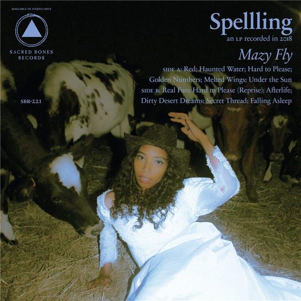 Mazy Fly - Front Cover