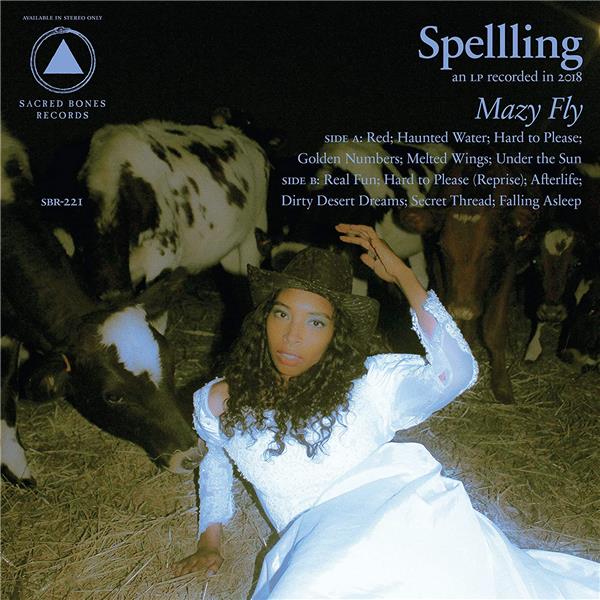 Mazy Fly - Front Cover