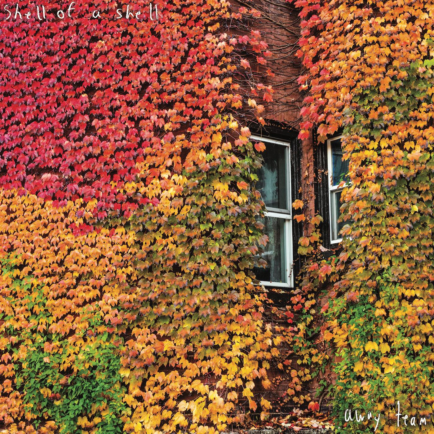 AWAY TEAM - Front Cover