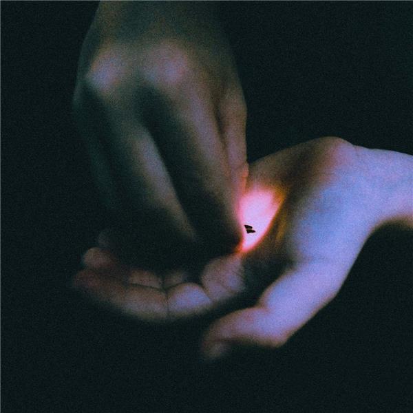 Stray - Front Cover