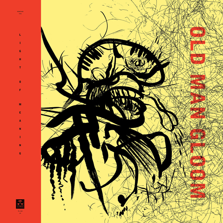 Light Of Meaning - Front Cover