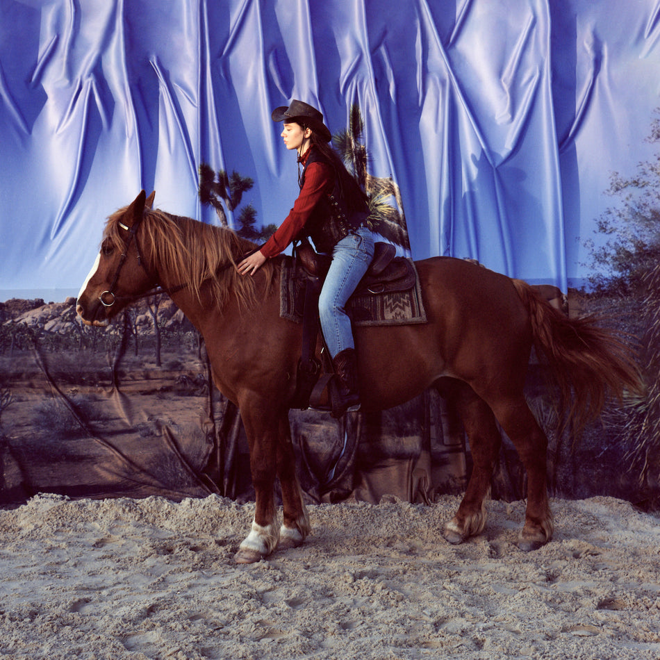 Horse - Front Cover