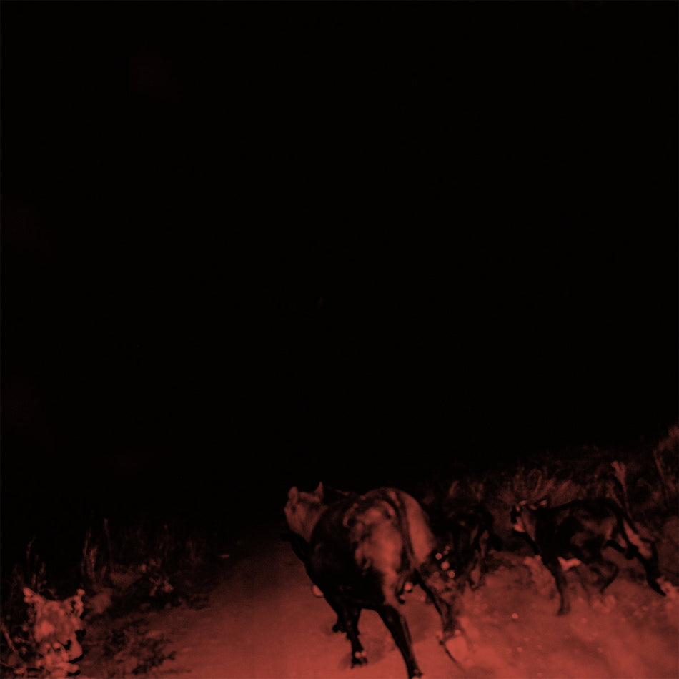 Shadow On Everything - Vinyle Blanc - Front Cover