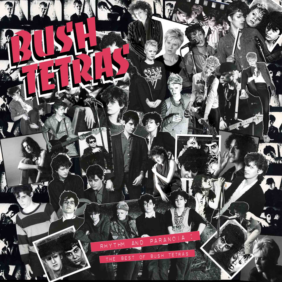 Rhythm And Paranoia: The Best Of Bush Tetras - Coffret 3 Vinyles 180 Gr + Livre 46 Pages - Front Cover