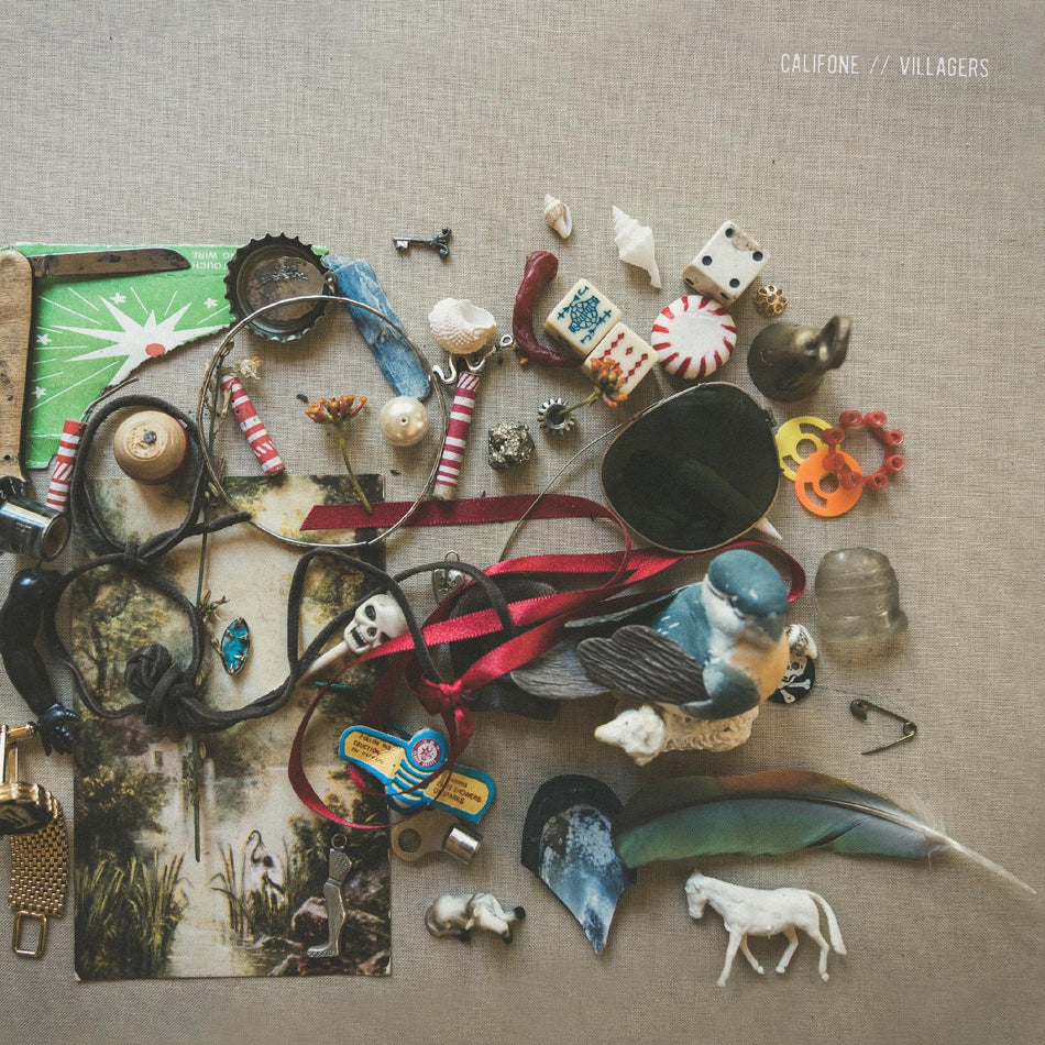 VILLAGERS/VINYLE COULEUR BOUTEILLE DE COCA - Front Cover