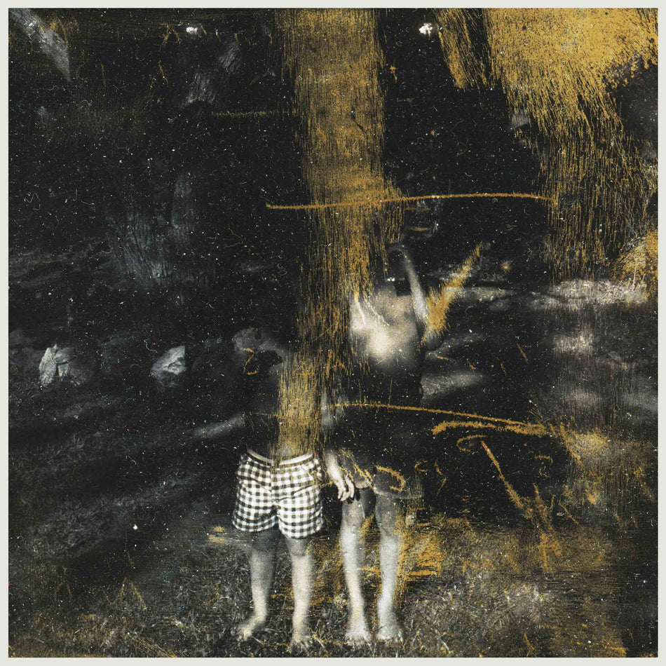 Voids - Front Cover