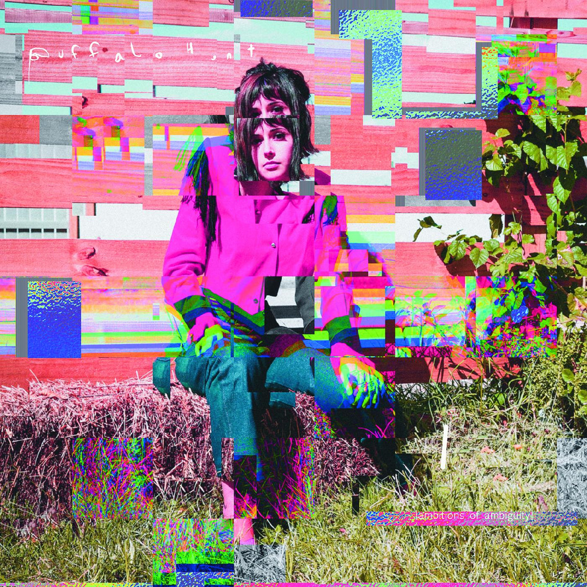 AMBITIONS OF AMBIGUITY/VINYLE ROSE - Front Cover