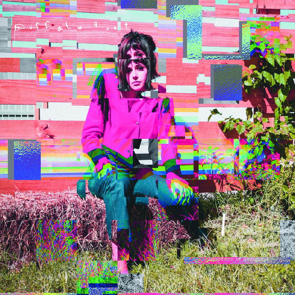 AMBITIONS OF AMBIGUITY/VINYLE ROSE - Front Cover