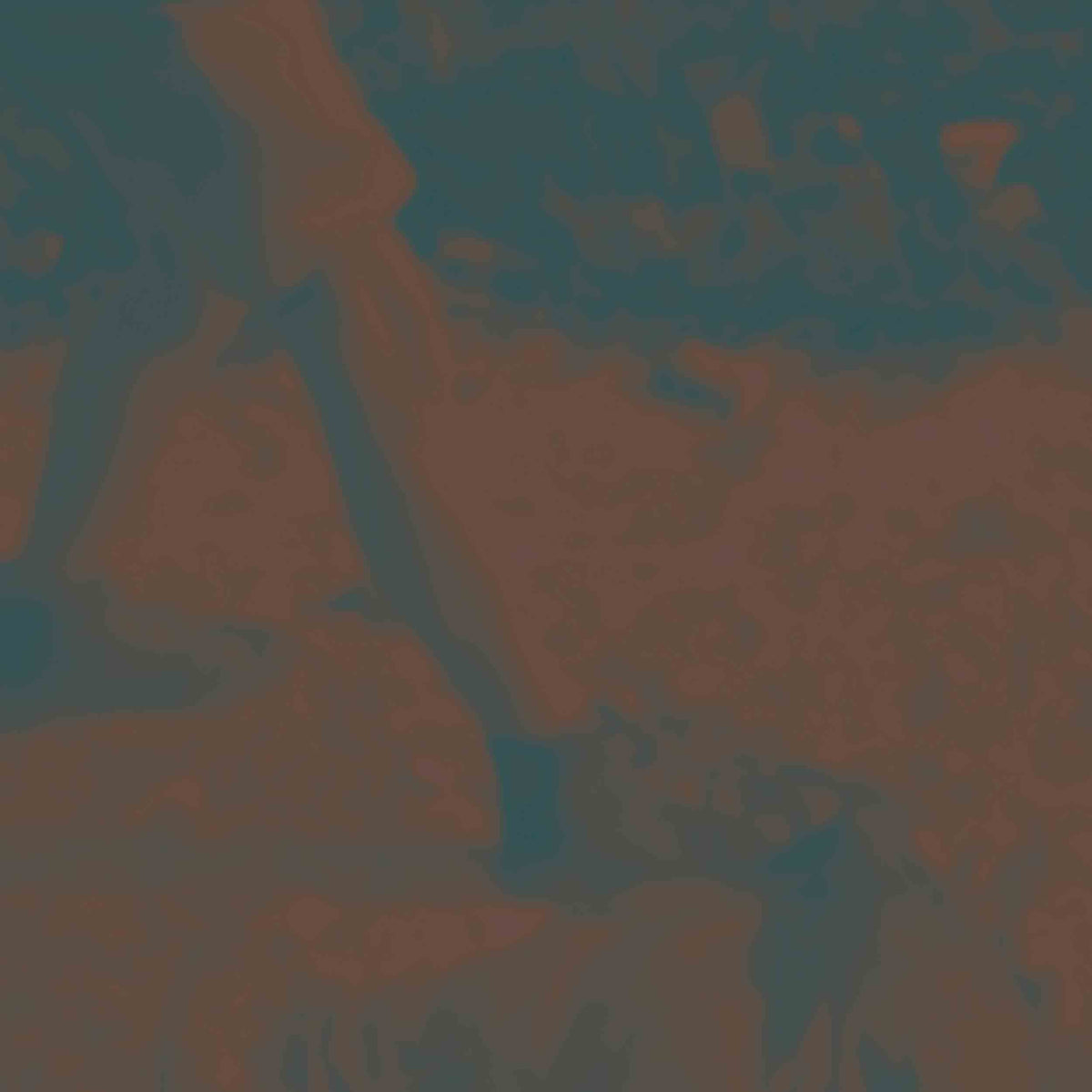 Ritual Howls - Deluxe - Vinyle Couleur Ambre - Front Cover