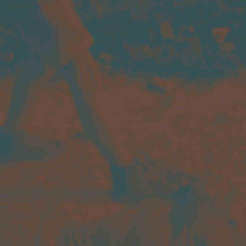 Ritual Howls - Deluxe - Vinyle Couleur Ambre - Front Cover