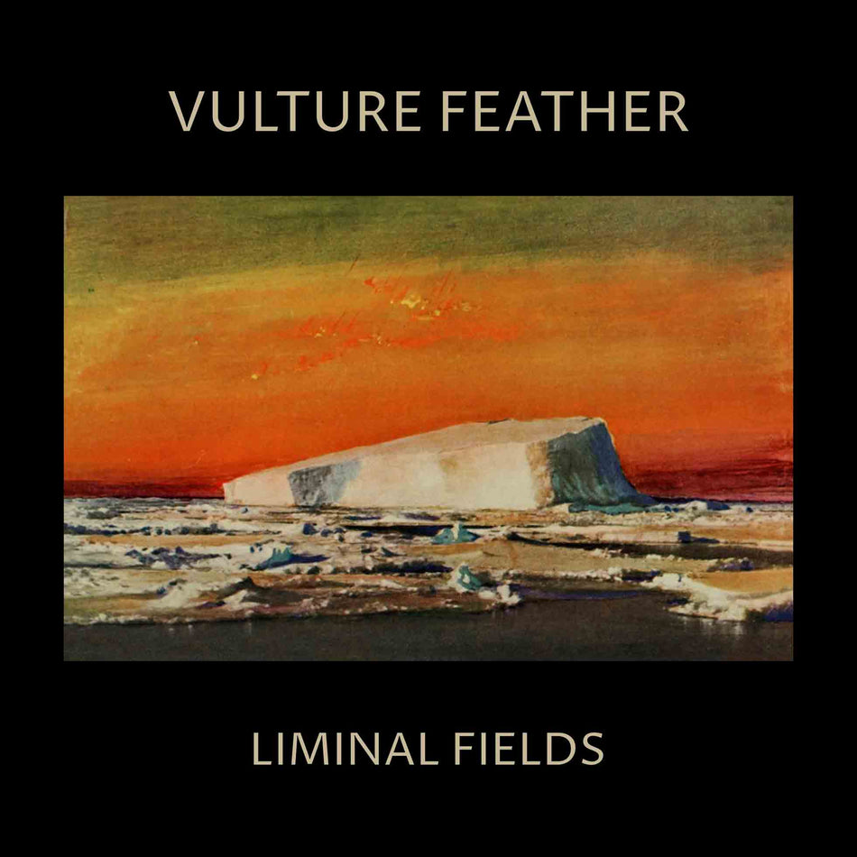 Liminal Fields - Vinyle Couleur Os - Front Cover