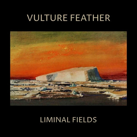 Liminal Fields - Vinyle Couleur Os - Front Cover
