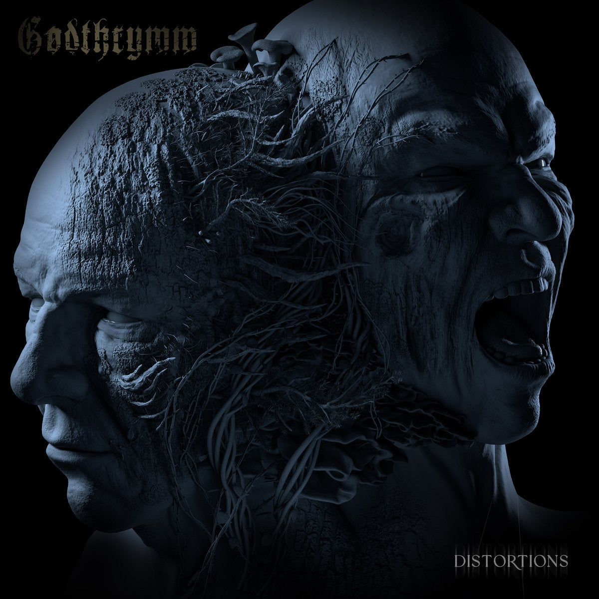 Distortions - Front Cover